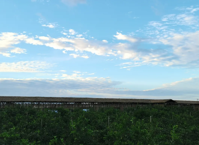 赤峰最新游玩攻略大全，带你畅游赤峰美景！