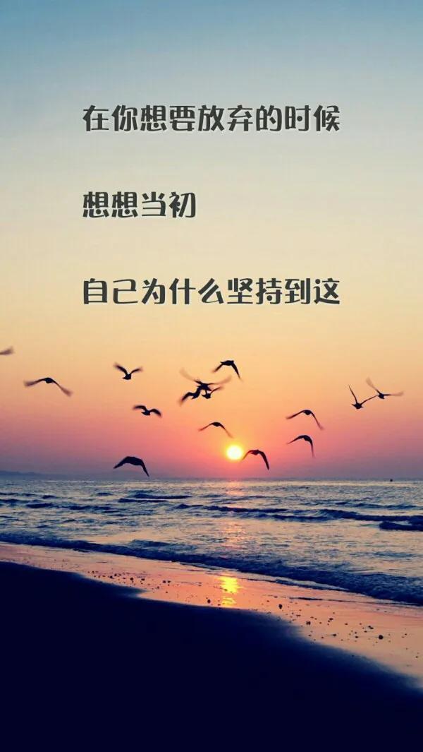 励志毕业语录，散文中的成长寄语