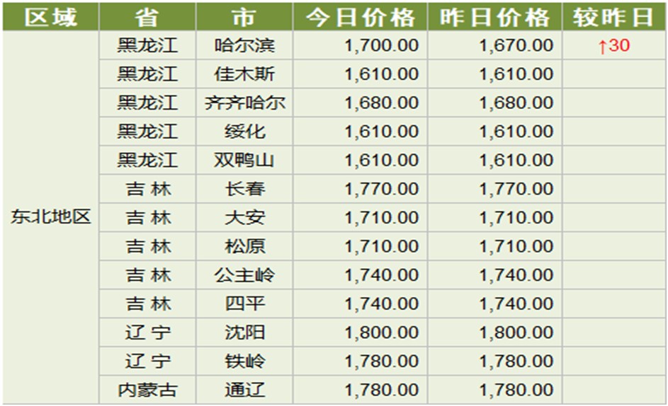 冬儿最新动态揭秘，今日消息一网打尽！