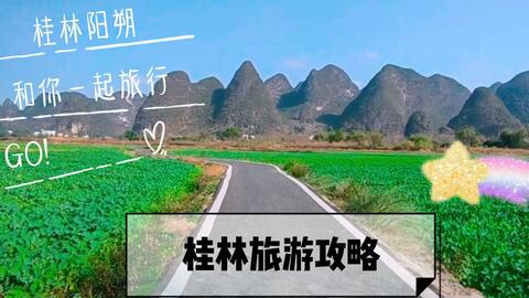 金龟岭探秘之旅，绝美风光与玩法全攻略