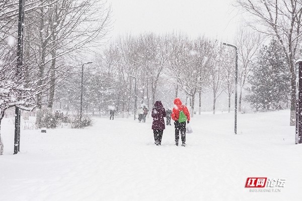 大连今日大雪纷飞，实时视频报道