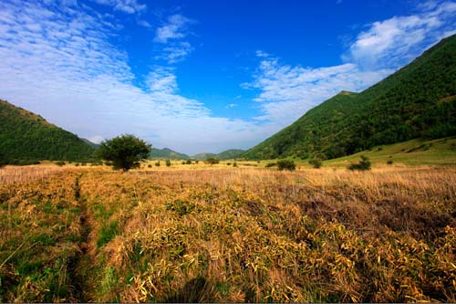 重庆周边游攻略，探秘美景，畅享不停歇的精彩之旅