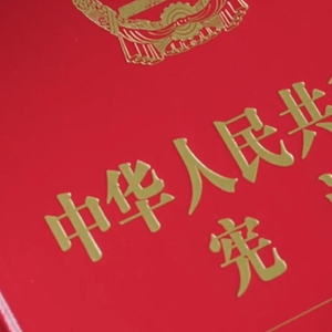 敬畏宪法，实施法治之道