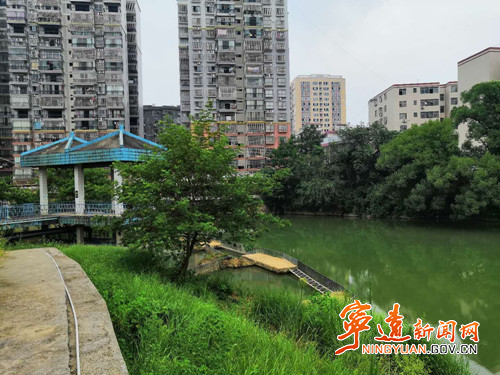丰都绿化专题，生态宜居新县城建设成果展示