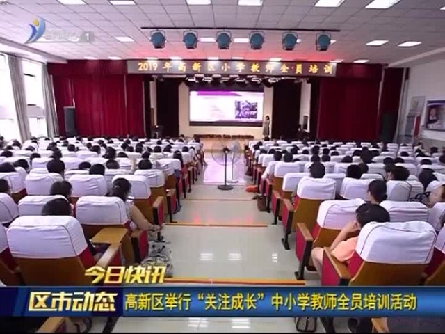 宝鸡凤翔新闻聚焦，区域新动态与地方发展亮点