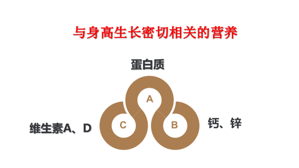 今日头条揭秘科学育儿秘籍，助力孩子健康成长，让未来更精彩