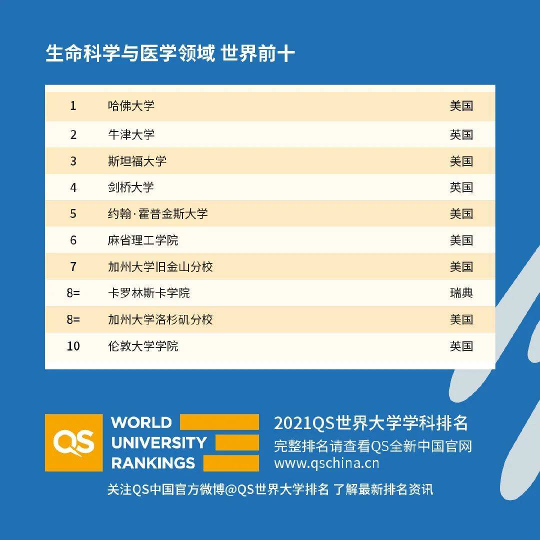 肾脏健康全球瞩目，揭示其在世界排名中的关键地位