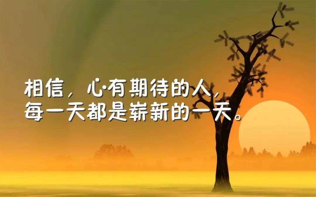 魔芋励志语录，追梦力量与坚韧精神