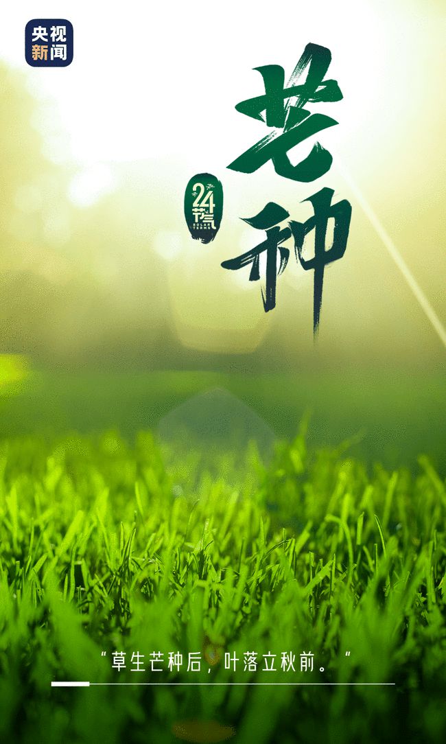 大香蕉独家精选，优质之选展现独特魅力