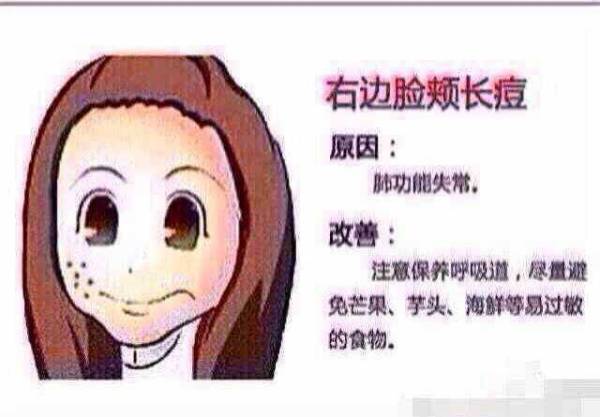 鸷鸟不群 第2页