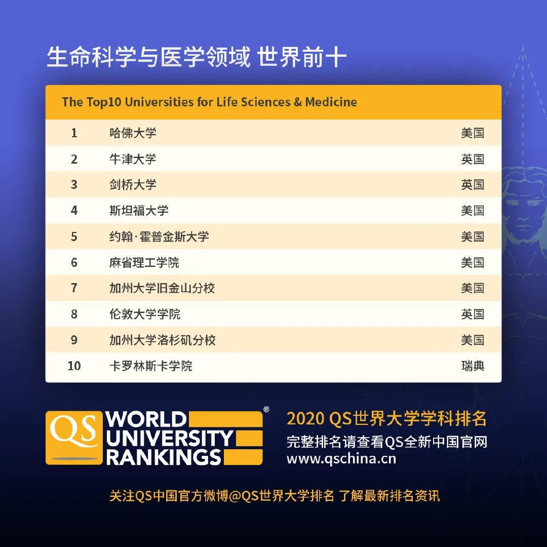 章子惠全球排名深度解析