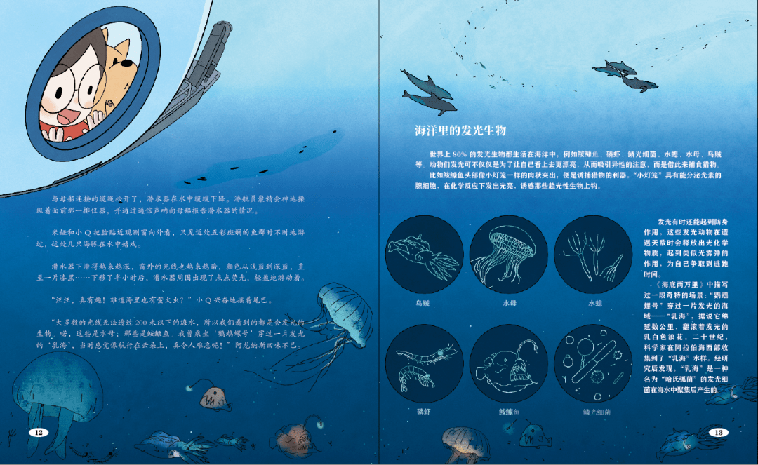 专题九实验探究，探索未知奥秘，激发科学创新潜能