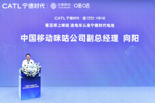 头条号与秦皇岛新闻网，探索新闻前沿，秦皇岛风采尽收眼底