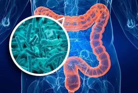 突发小肠火，症状解析、诱因探究与应对良方