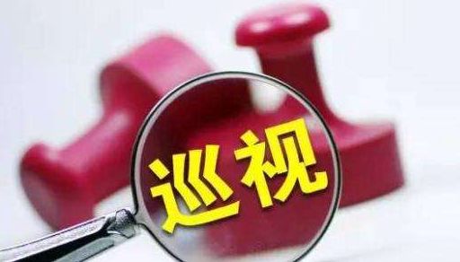 组织巡查整改落实，构建高效执行力之路