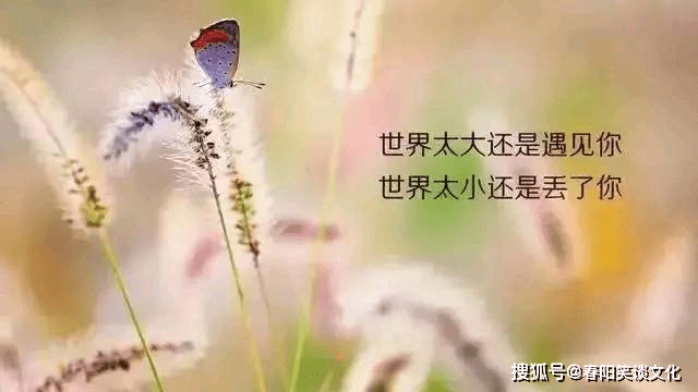 励志箴言，坚持的力量，永不言弃的语录