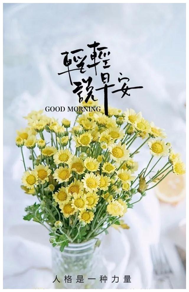 励志花束心灵寄语，励志语录集锦