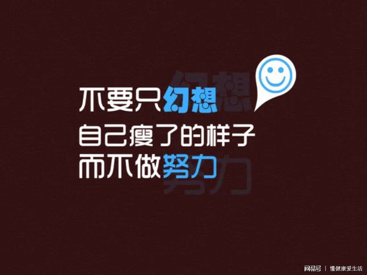 动物侦探语录励志壁纸，智慧与勇气并行的探寻之路