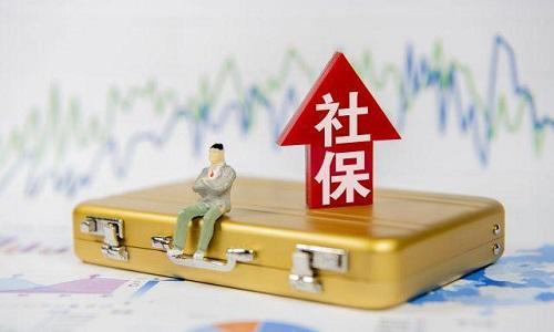 猫咪突发倒地，原因解析、应对方案与关爱须知