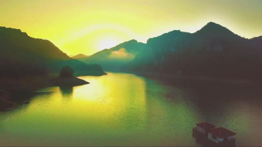 政和白茶探秘之旅，品茗赏景，一网打尽！