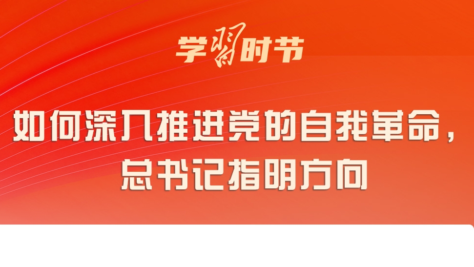 西峡新闻今日热点速递，最新消息全掌握