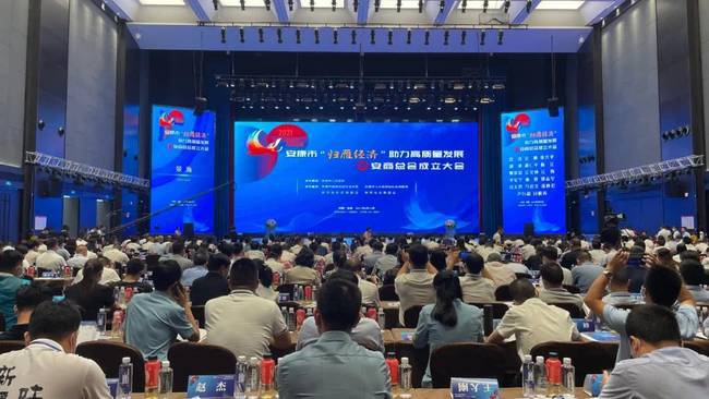 东兴证券深化金融服务，助力经济发展专题报道