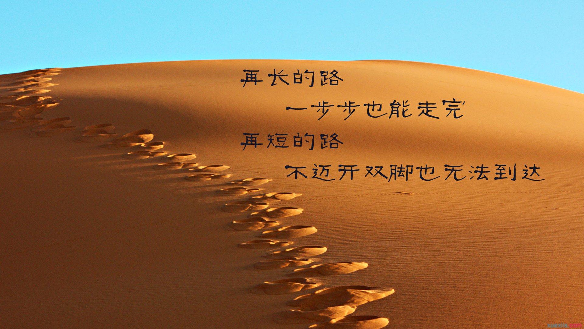 百万粉丝励志语录，探寻梦想的无穷力量源泉