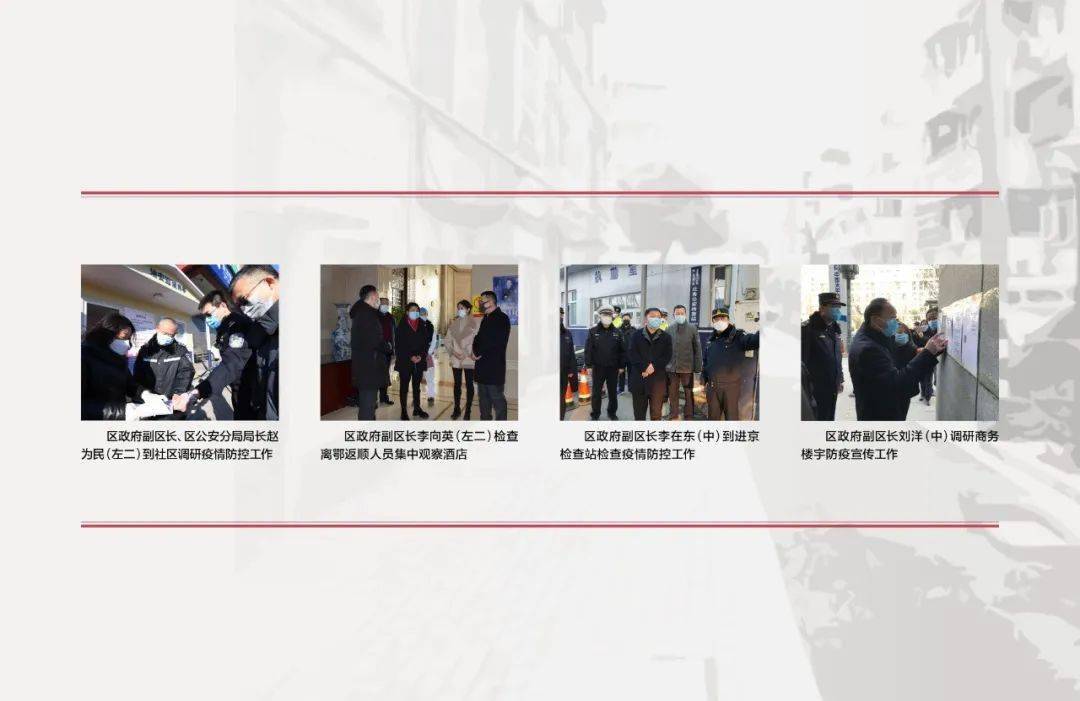 专题图片精选，瞬间之美的主题魅力展现