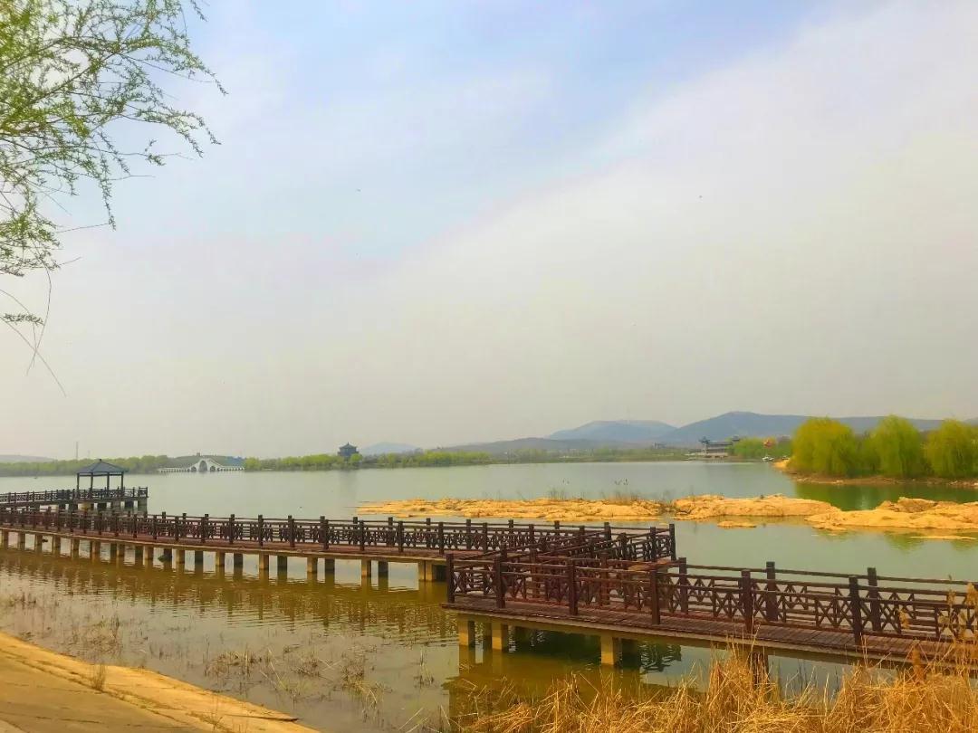 太湖畔绝美风光！超详细旅游攻略带你畅游湖畔美景