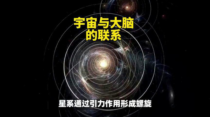 寄生现象揭秘，与百度的深度关联探索