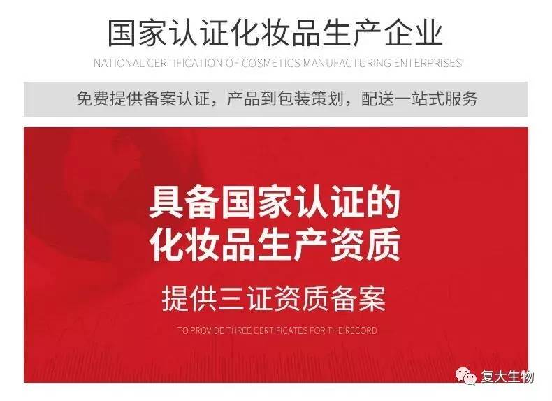 百度成长揭秘，从搜索巨头到多元化发展的历程回顾