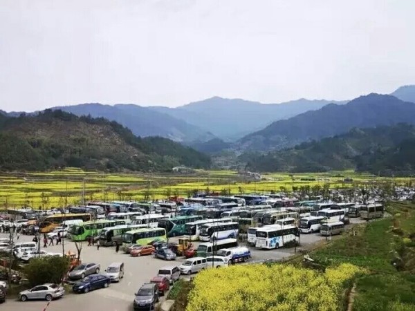 婺源旅游公交攻略全解析，畅游美景，轻松出行