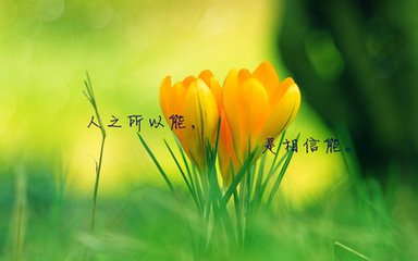 问卷 第116页