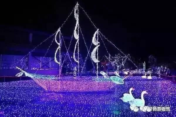 弗洛伊德圣诞树，点亮节日之光，迎2024年梦幻之夜