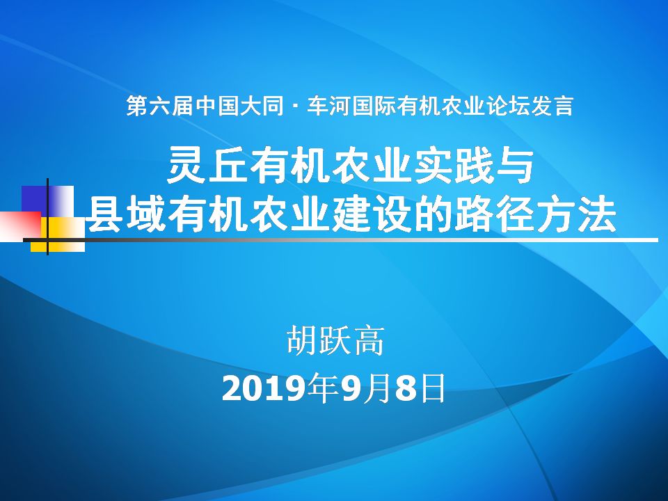 构建高效执行力，关键措施与落实路径