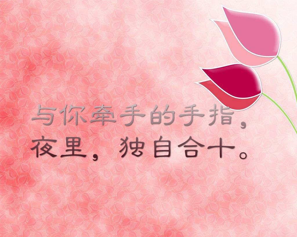 三毛励志语录，追寻生活的真谛与勇气之旅