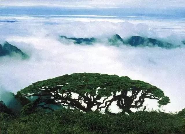 「北京出发探秘天目山，绝美旅游攻略与实用指南」