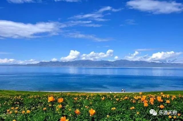 鄱口湖旅游攻略，探索美景，尽享湖光山色！