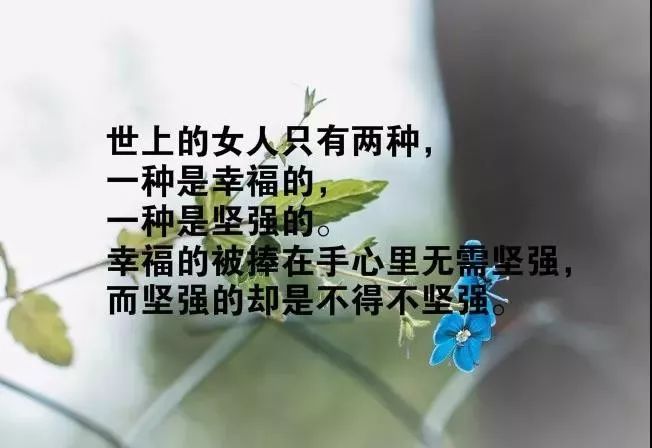 相遇之歌，励志短句语录，触动心灵的话语