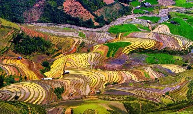 山东菏泽梯田建设引领农业现代化新潮流，新闻聚焦