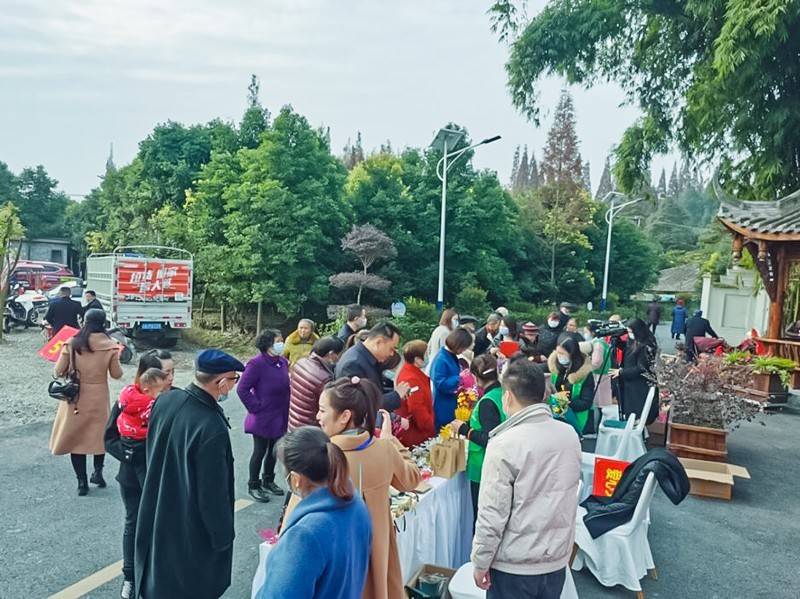 羊马套今日行情，最新动态及市场分析