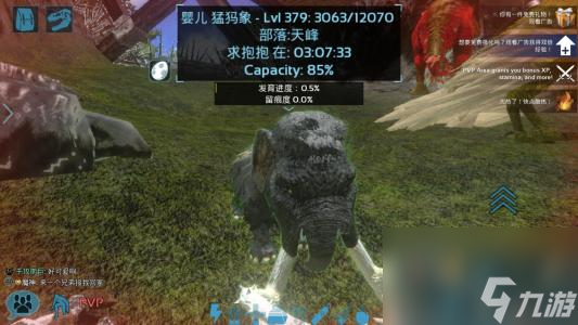 海滩开局攻略大全，掌握最新秘籍！
