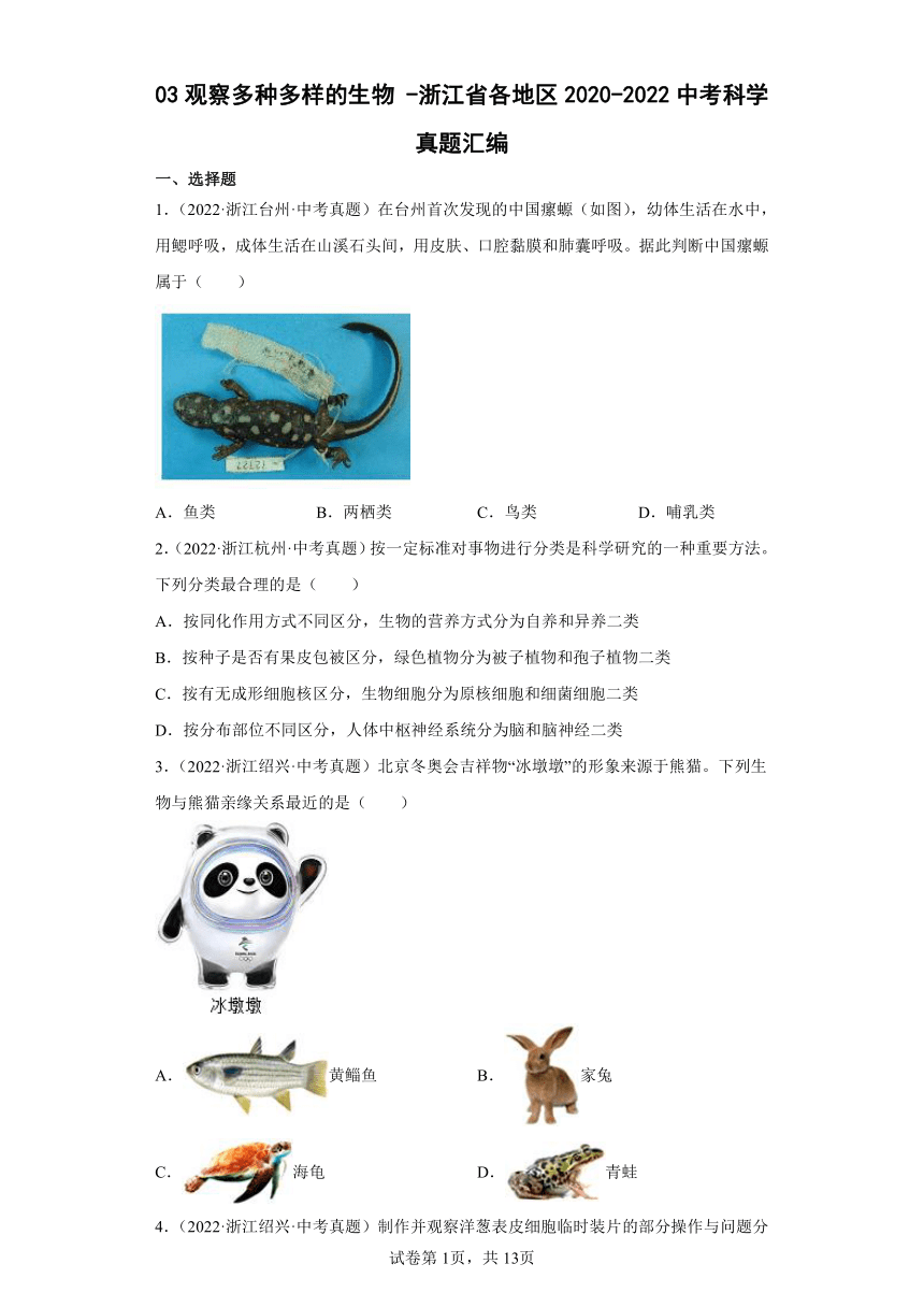 生物高中种子专题探索之旅，揭秘生命奥秘的启程