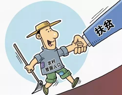 某某县区工作落实深度解读，全方位解析执行细节