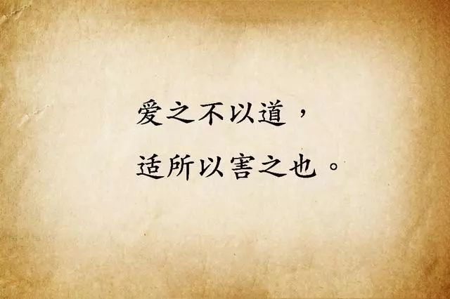 沈从文经典励志语录与人生智慧启迪