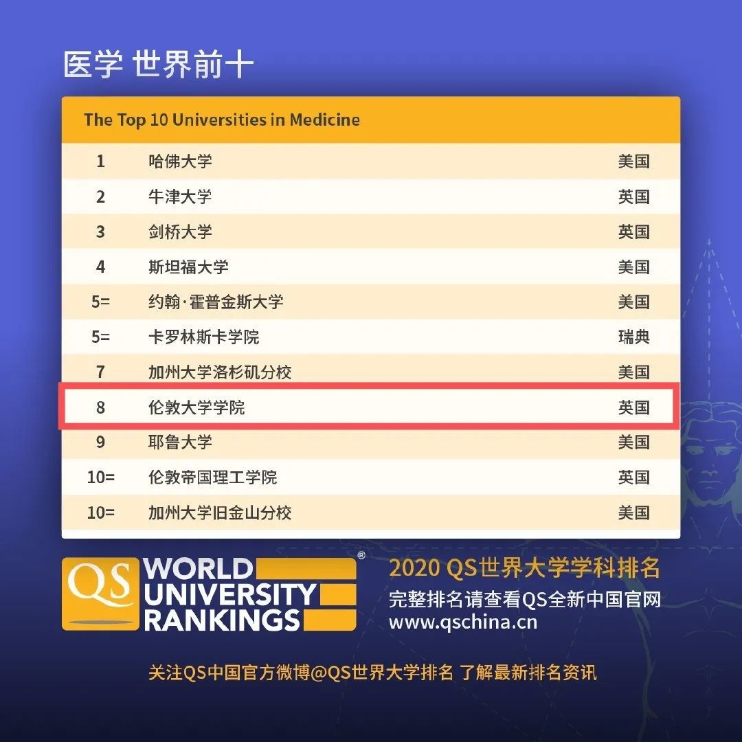 天马世界排名揭秘，各领域影响力与地位的全面探寻