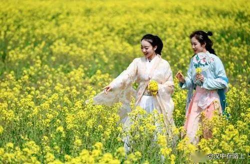 春节踏青赏花攻略，尽享美好时光，不容错过的旅行计划！