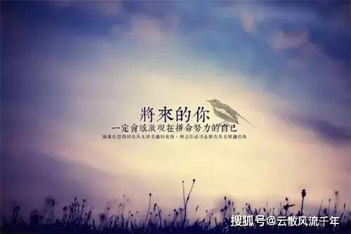 梅姐励志箴言，生命不息，激情奋斗不止