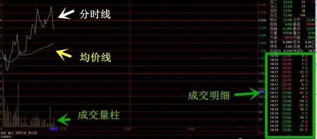 龟板养殖，利润揭秘与市场动态深度剖析