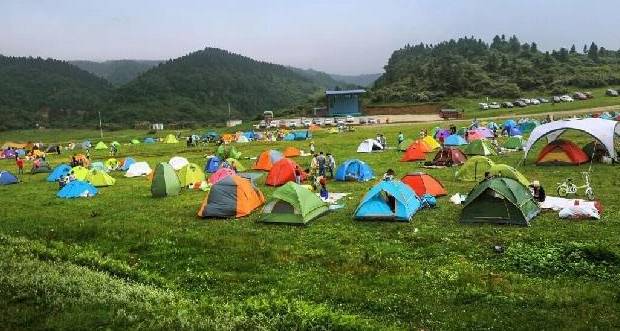 世界森林露营基地排名大揭秘！不容错过的露营胜地榜单